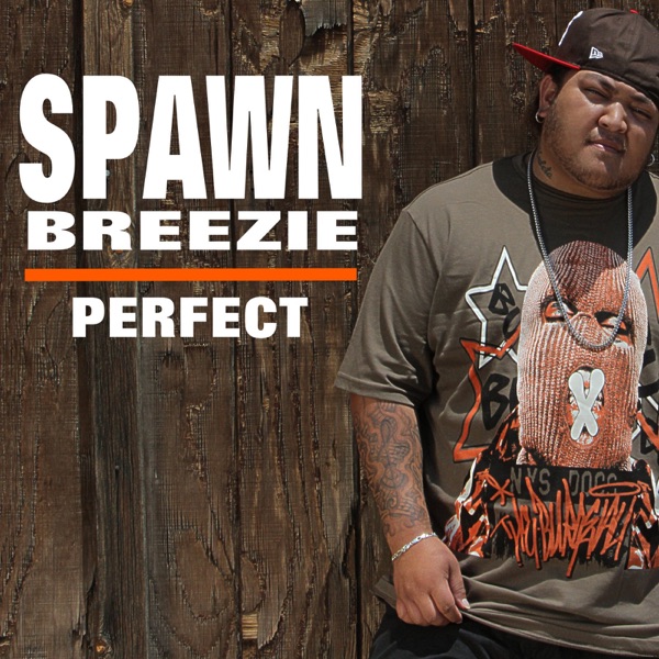 Perfect - Single album cover