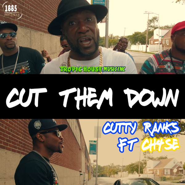 Cut Them Down (feat. Ch4se) - Single album cover