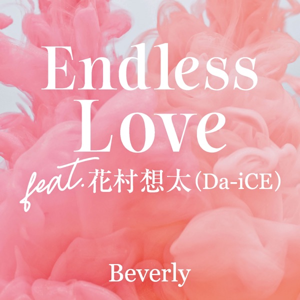 Endless Love (feat.Sota Hanamura) - Single album cover