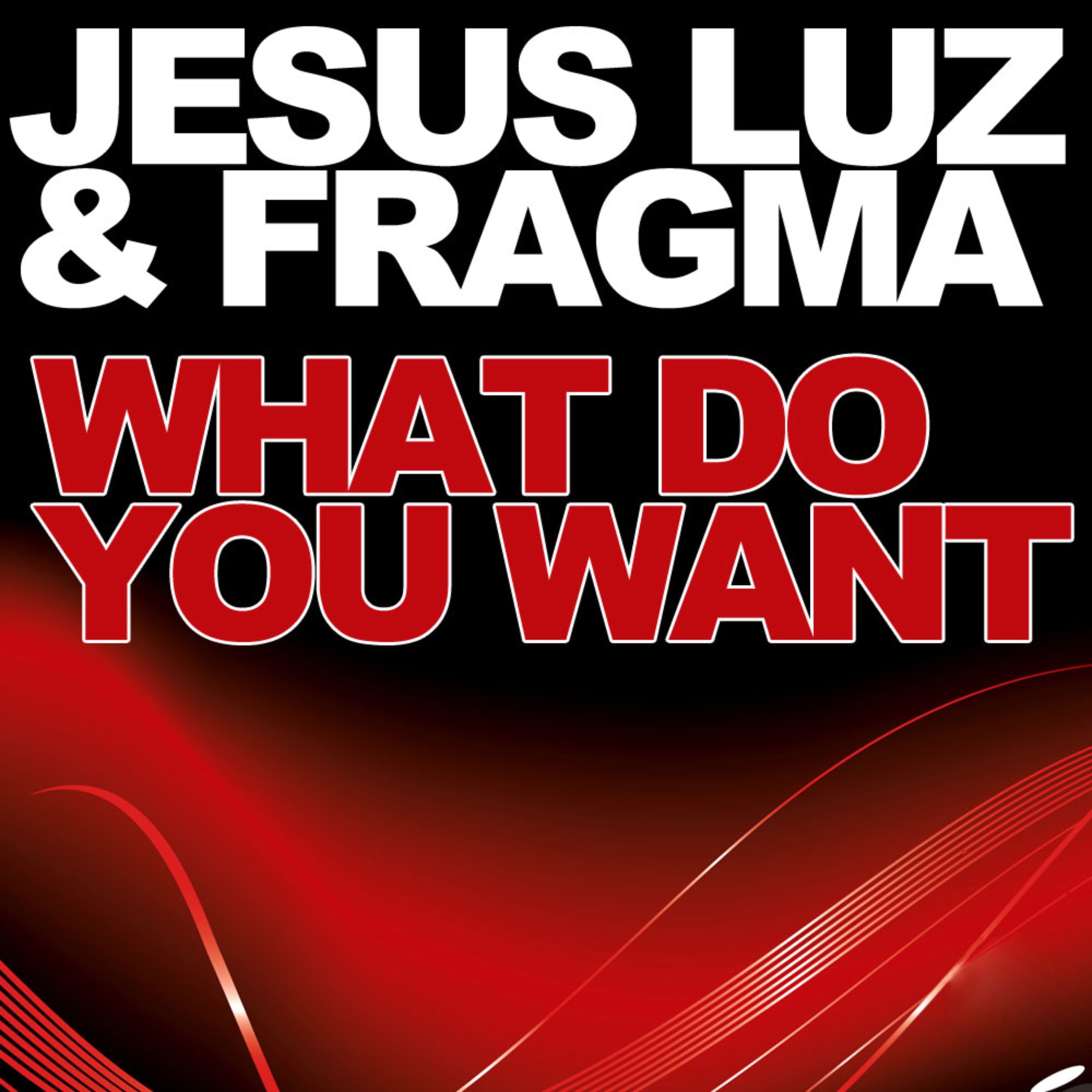 What Do You Want (Remixes) album cover