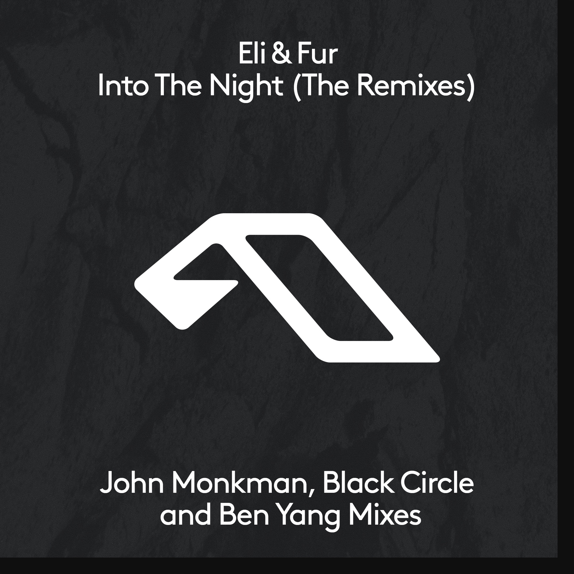 Into the Night (The Remixes) album cover