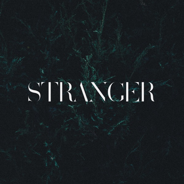 Stranger - Single album cover