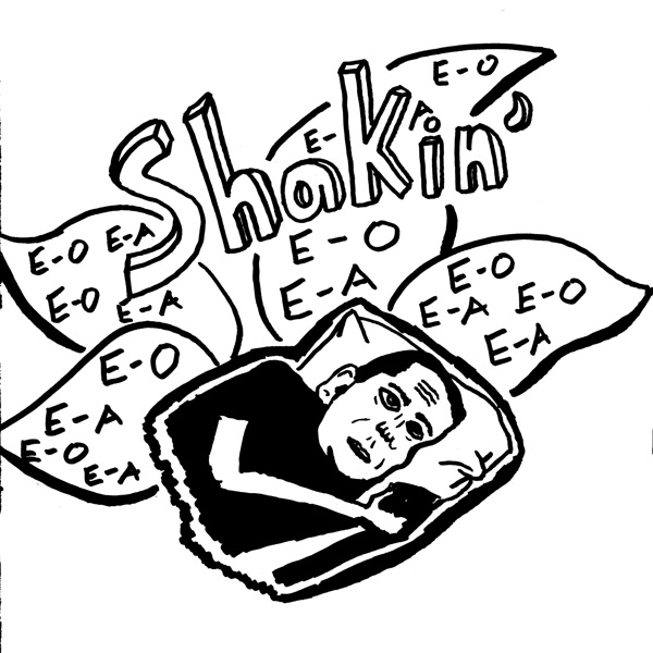 Shakin' (Erik Paulson Mix) - Single album cover