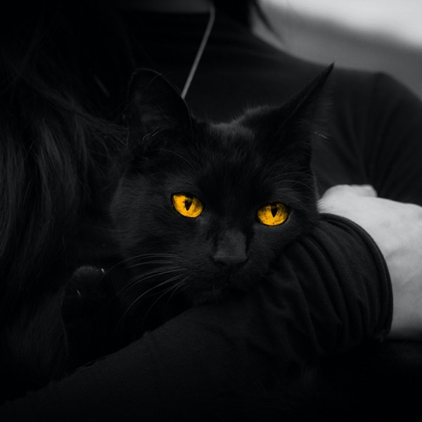 Casper - Single album cover