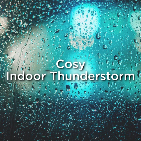 Cosy Indoor Thunderstorm album cover