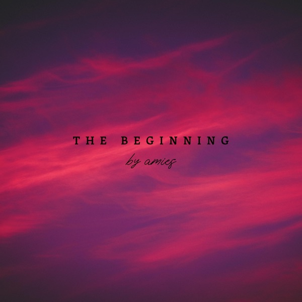 The Beginning - Single album cover