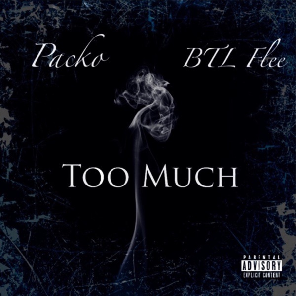 Too Much (feat. FLEE) - Single album cover