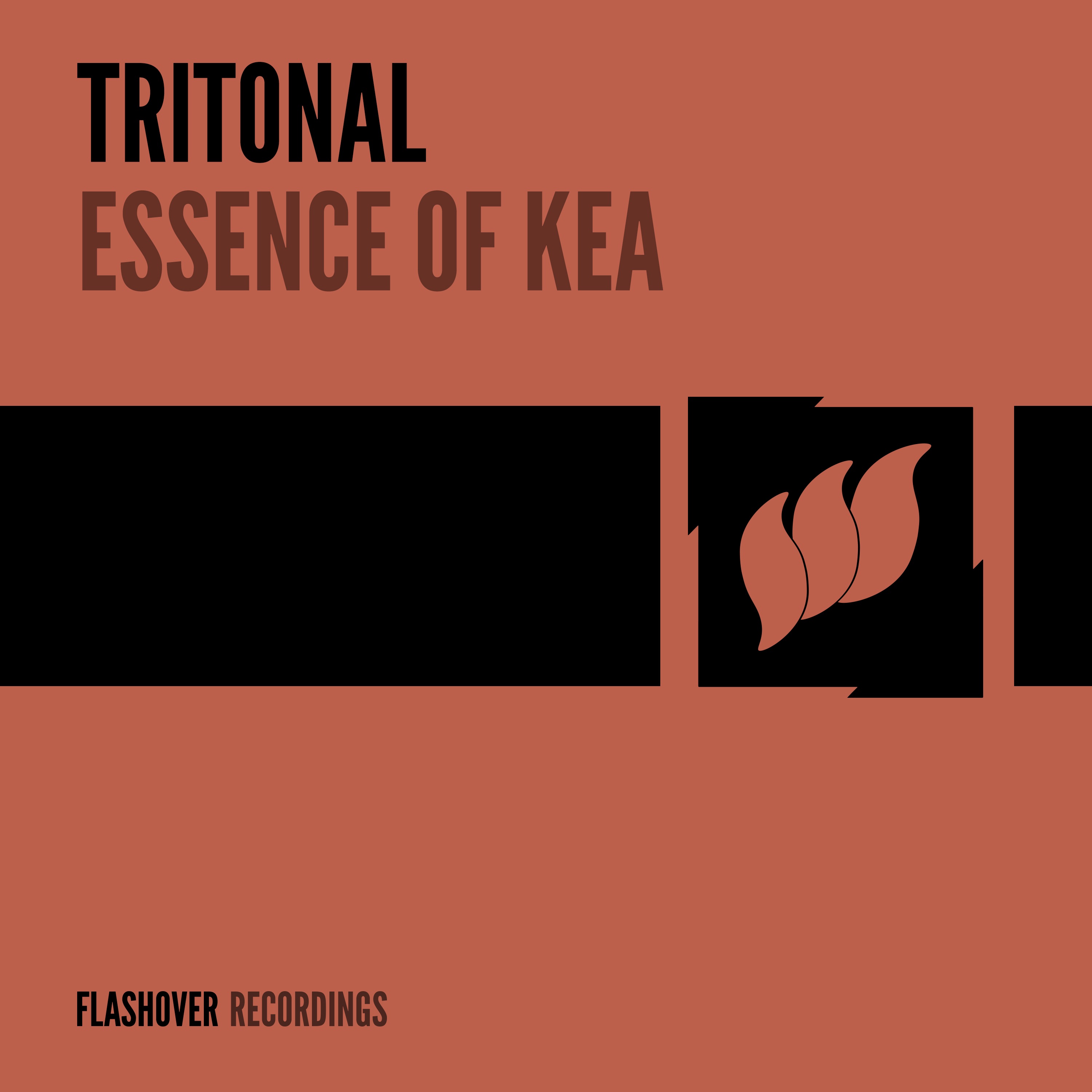 Essence of Kea - Single album cover