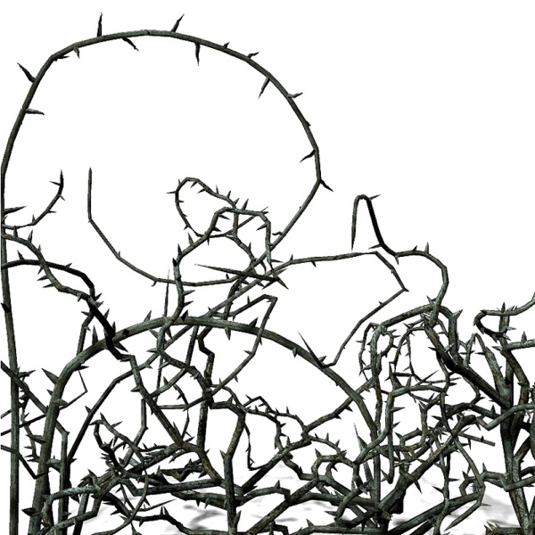Thorns - Single album cover