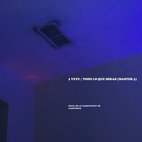 3 VETE / TODO LO QUE MIRAS (MASTER 3) [Demo de un Experimento de Cuarentena] - Single album cover