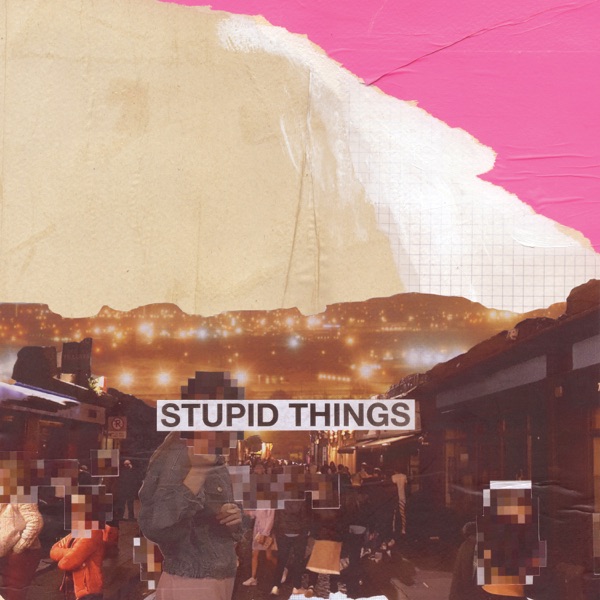 Stupid Things - Single album cover