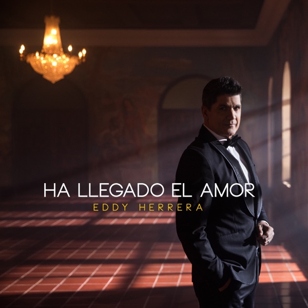 Ha Llegado el Amor - Single album cover