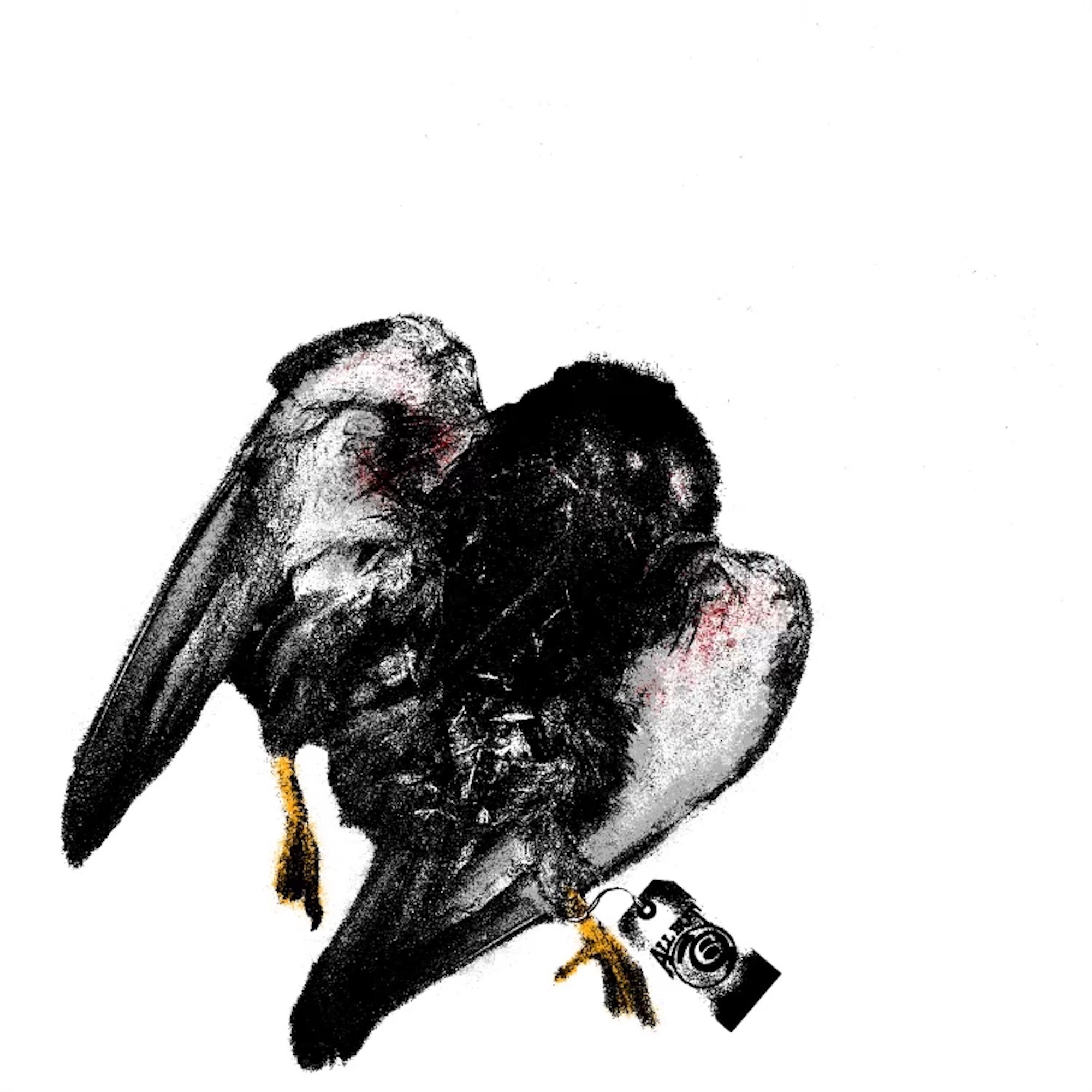 ALL BUT 6 album cover