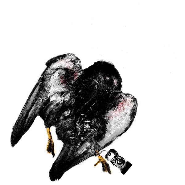 ALL BUT 6 album cover