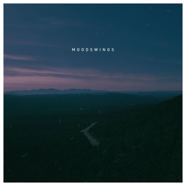 Moodswings - Single album cover