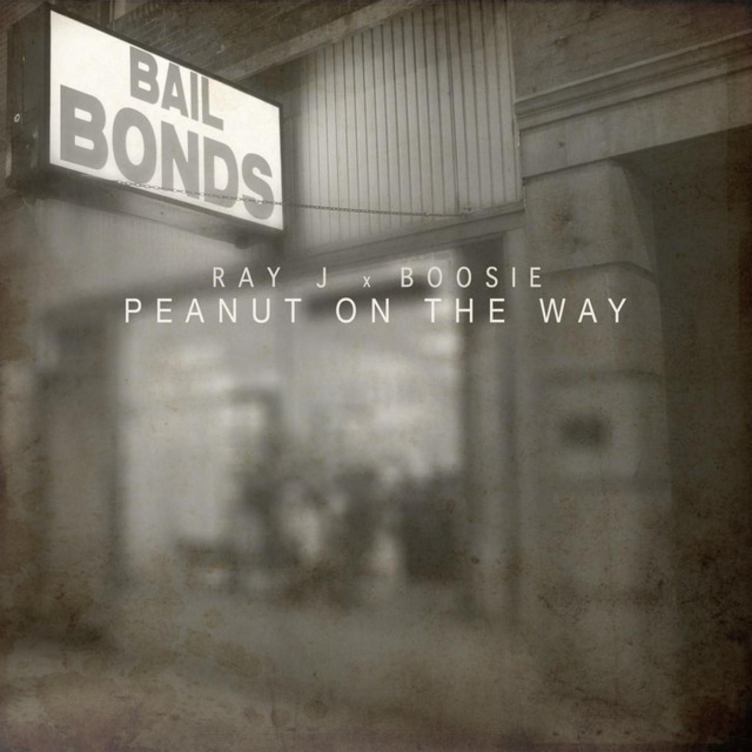 Peanut on the Way - Single album cover