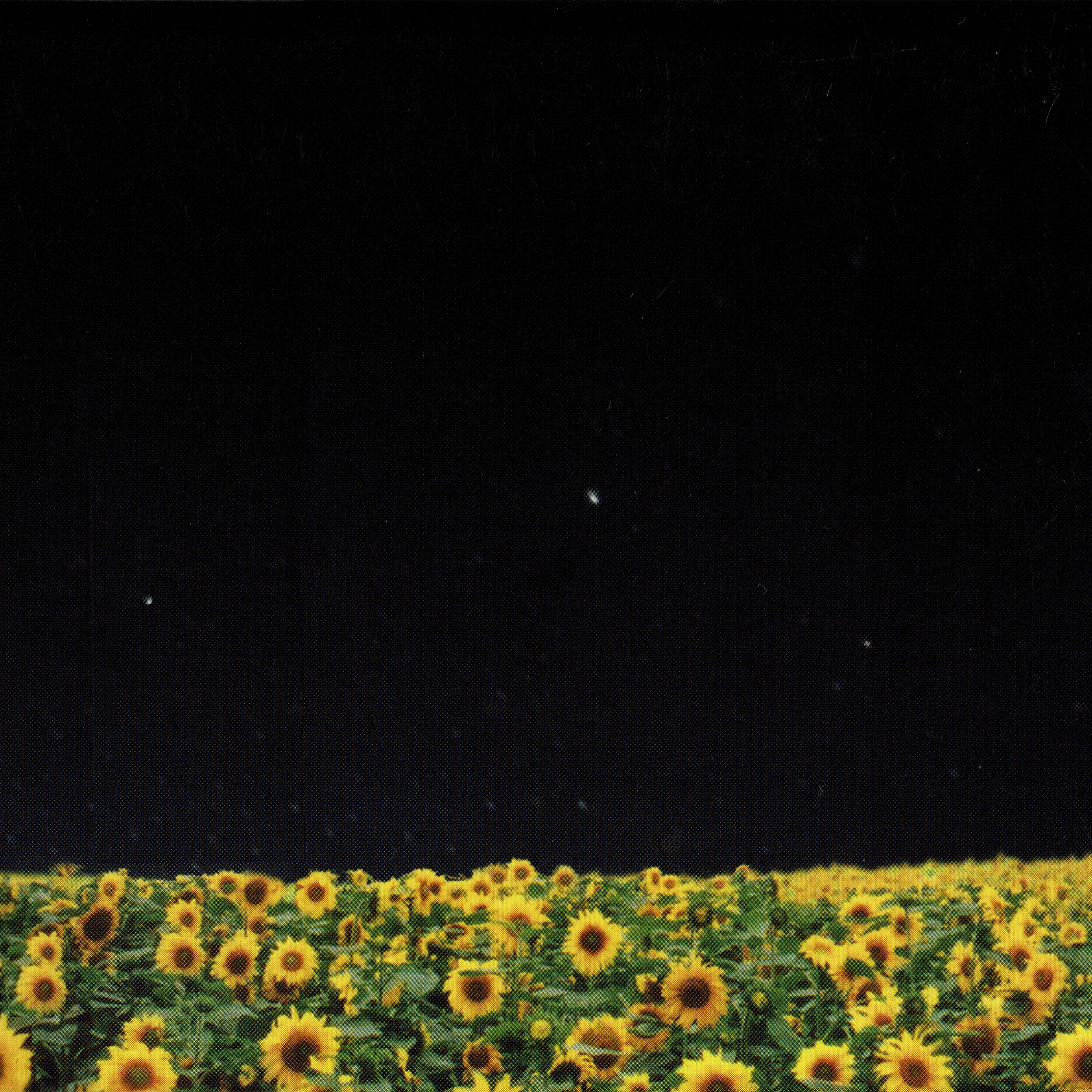 Hikarihimawari album cover