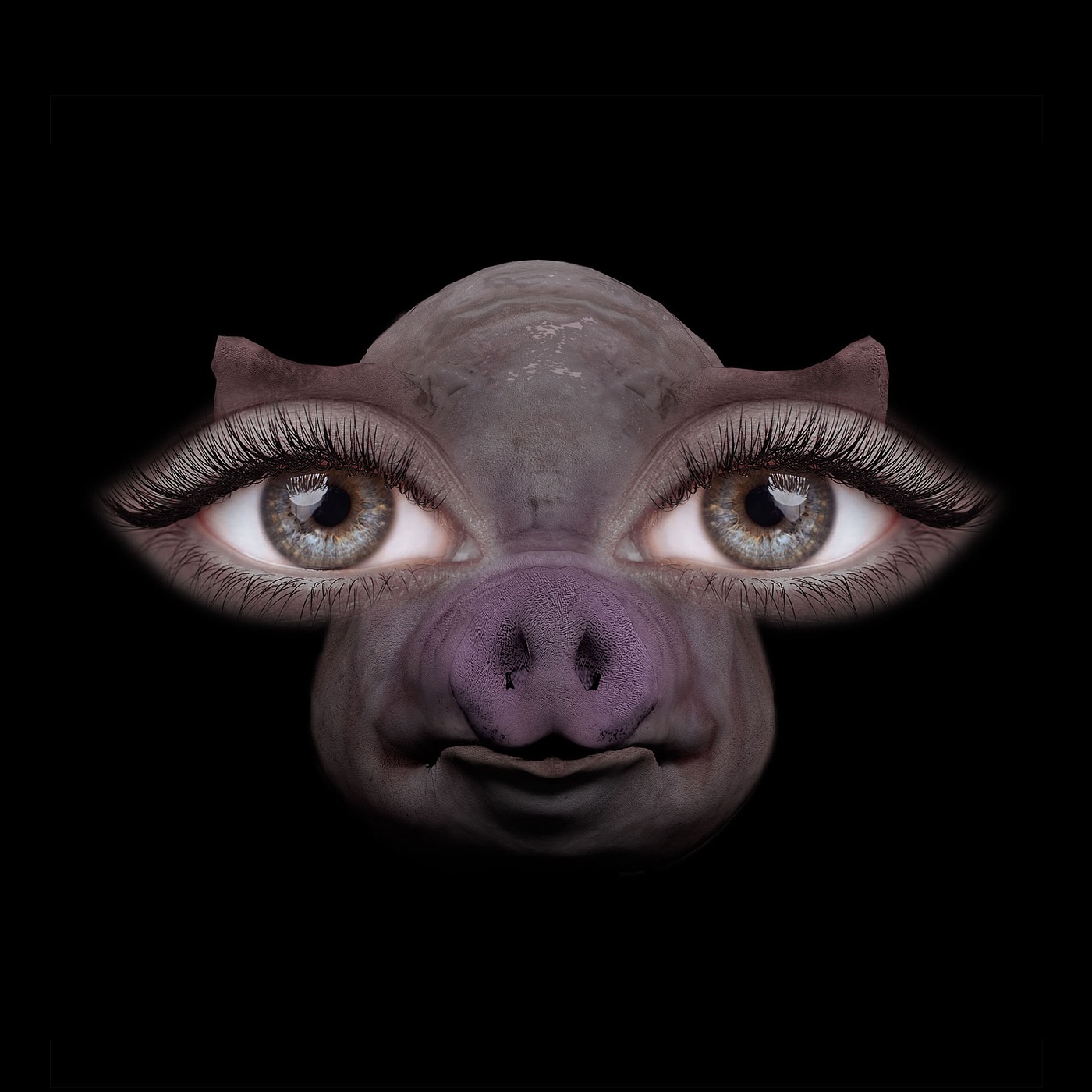 Us and Pigs - Single album cover