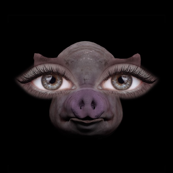 Us and Pigs - Single album cover