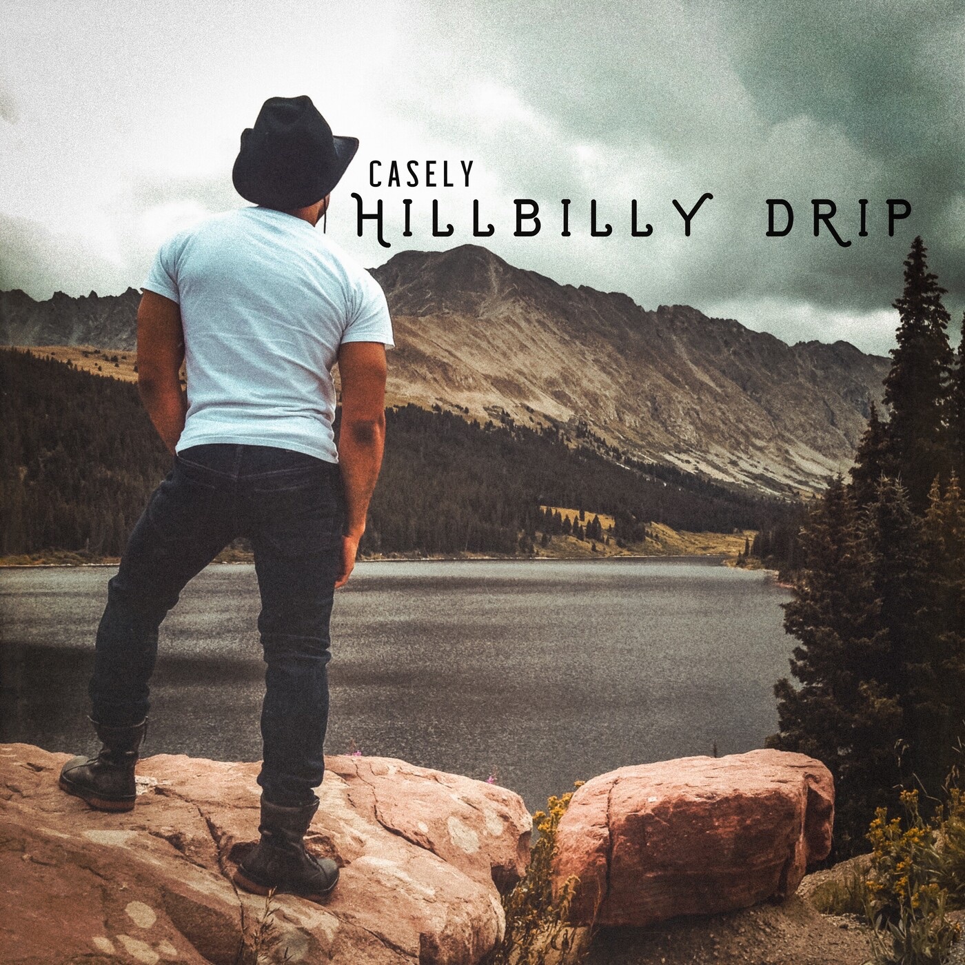 Hillbilly Drip - Single album cover