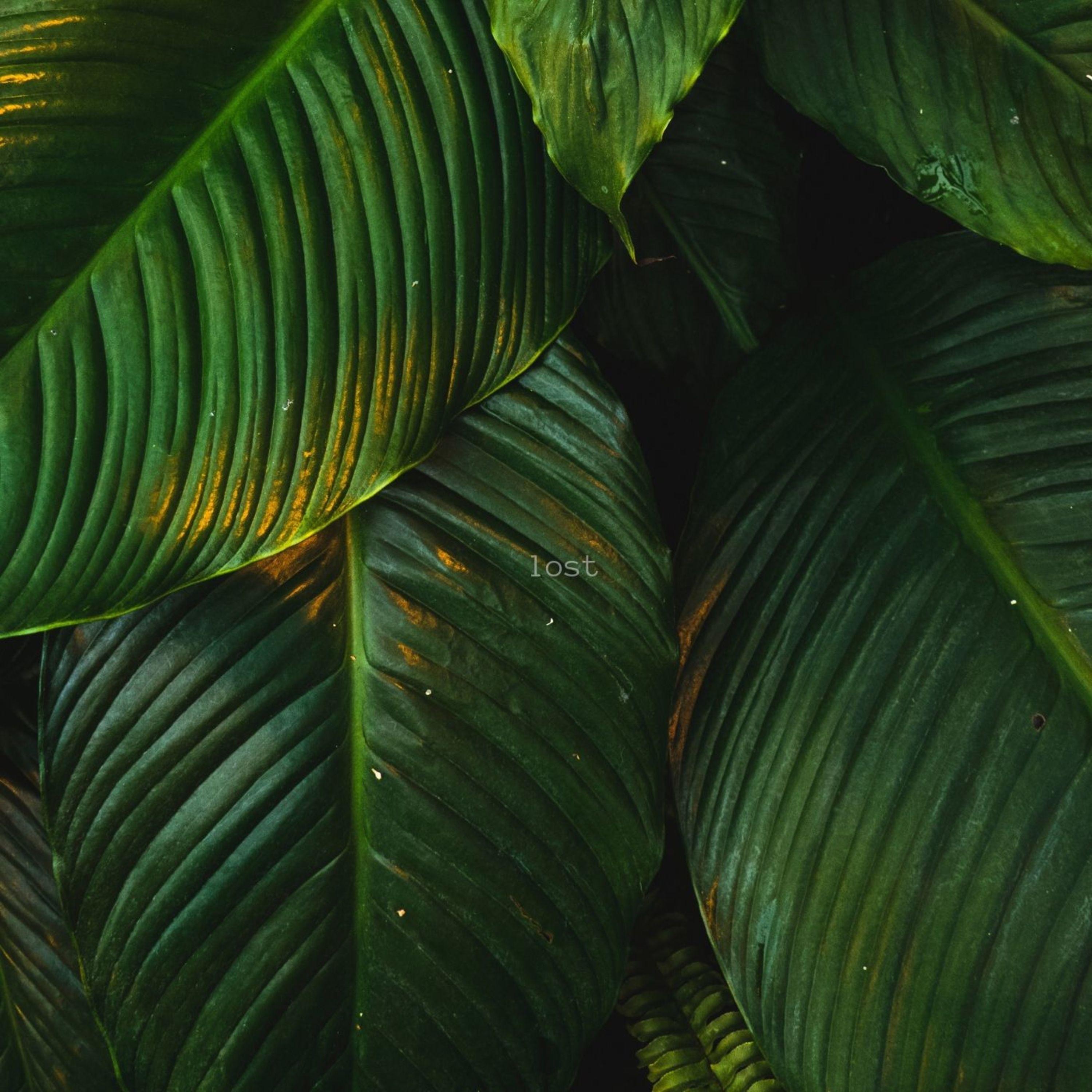 Lost - Single album cover