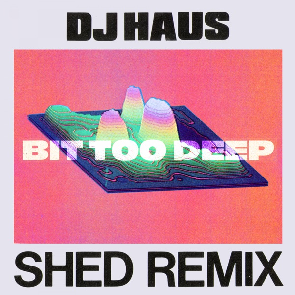 Bit Too Deep (Shed Remix) - Single album cover