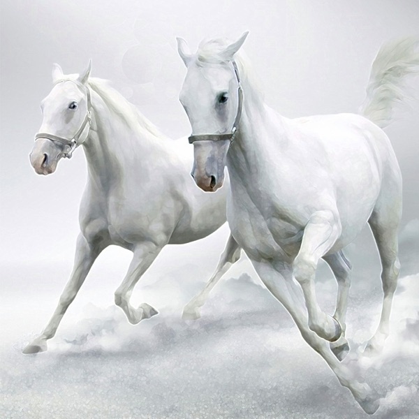 Old Town Road, Pt. 2 - Single album cover