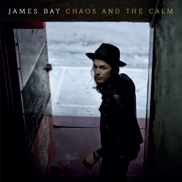 Chaos and the Calm (Deluxe Edition) album cover