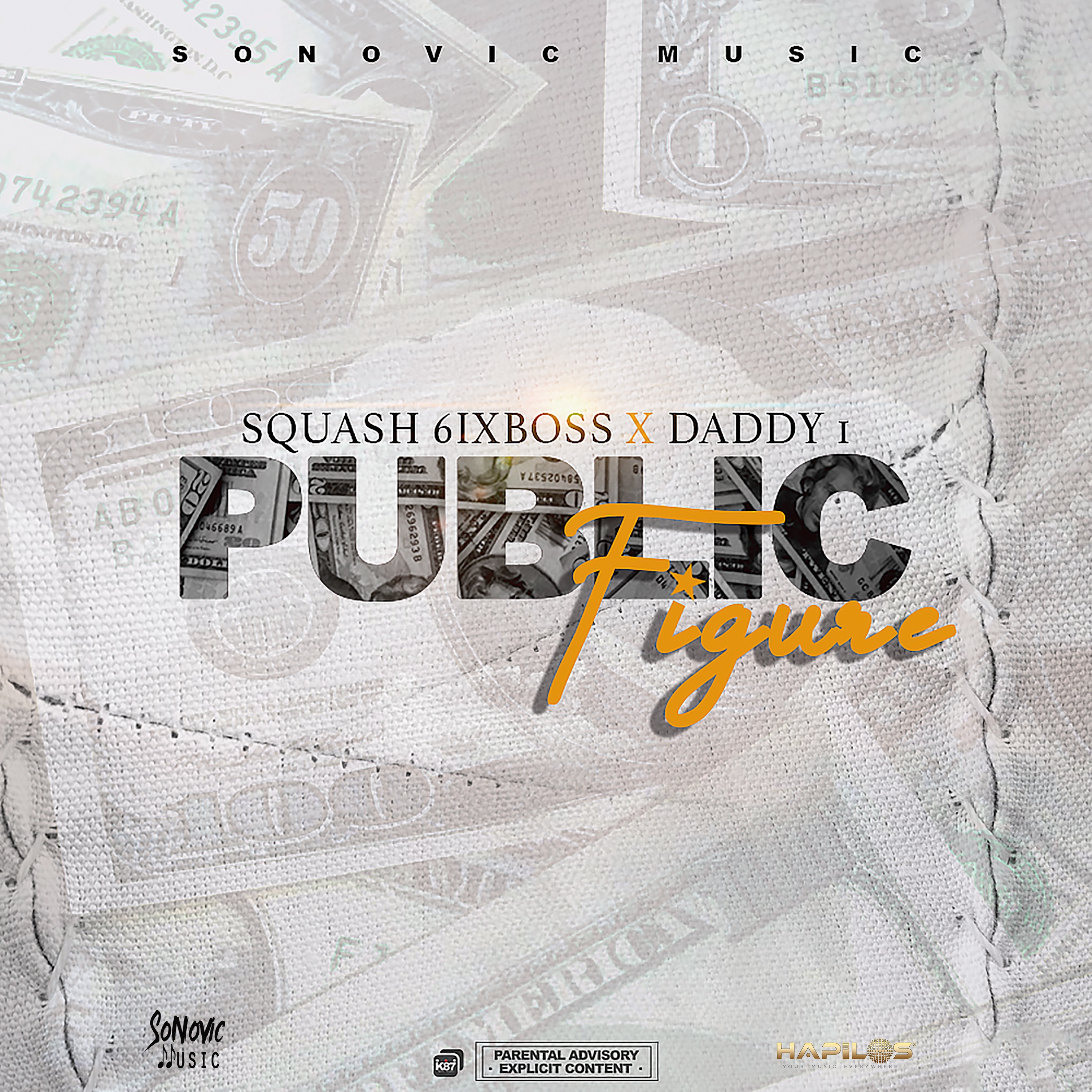 Public Figure - Single album cover
