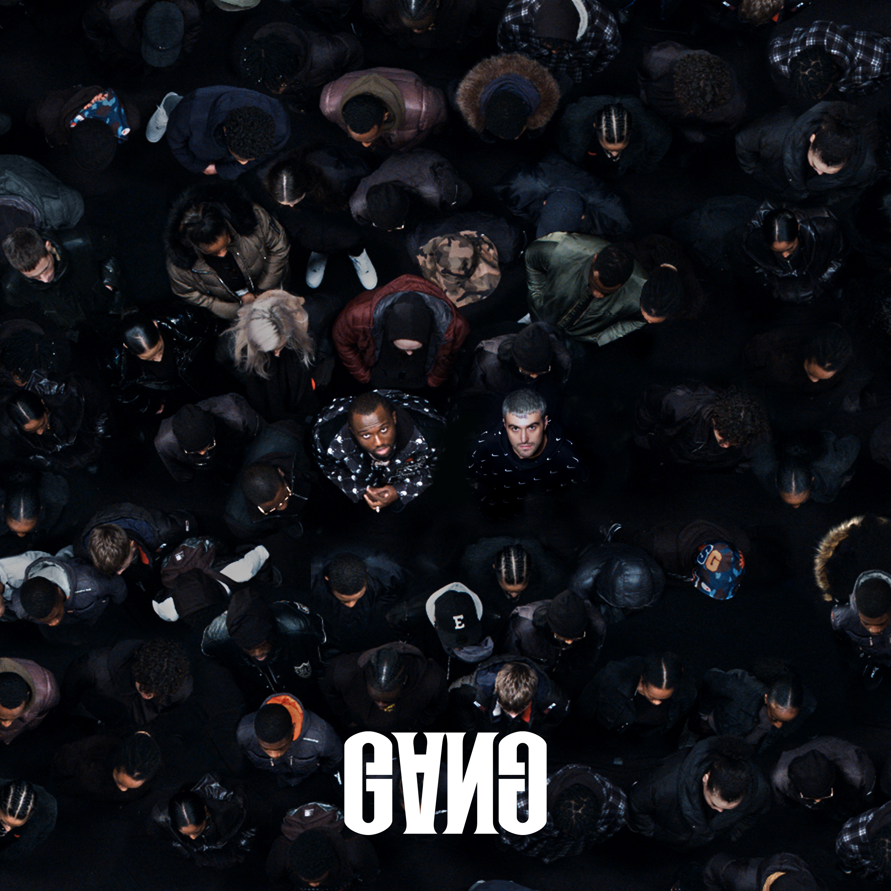 GANG album cover