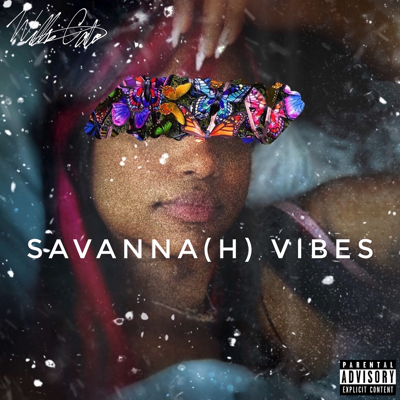 Savanna(H) Vibes - Single album cover