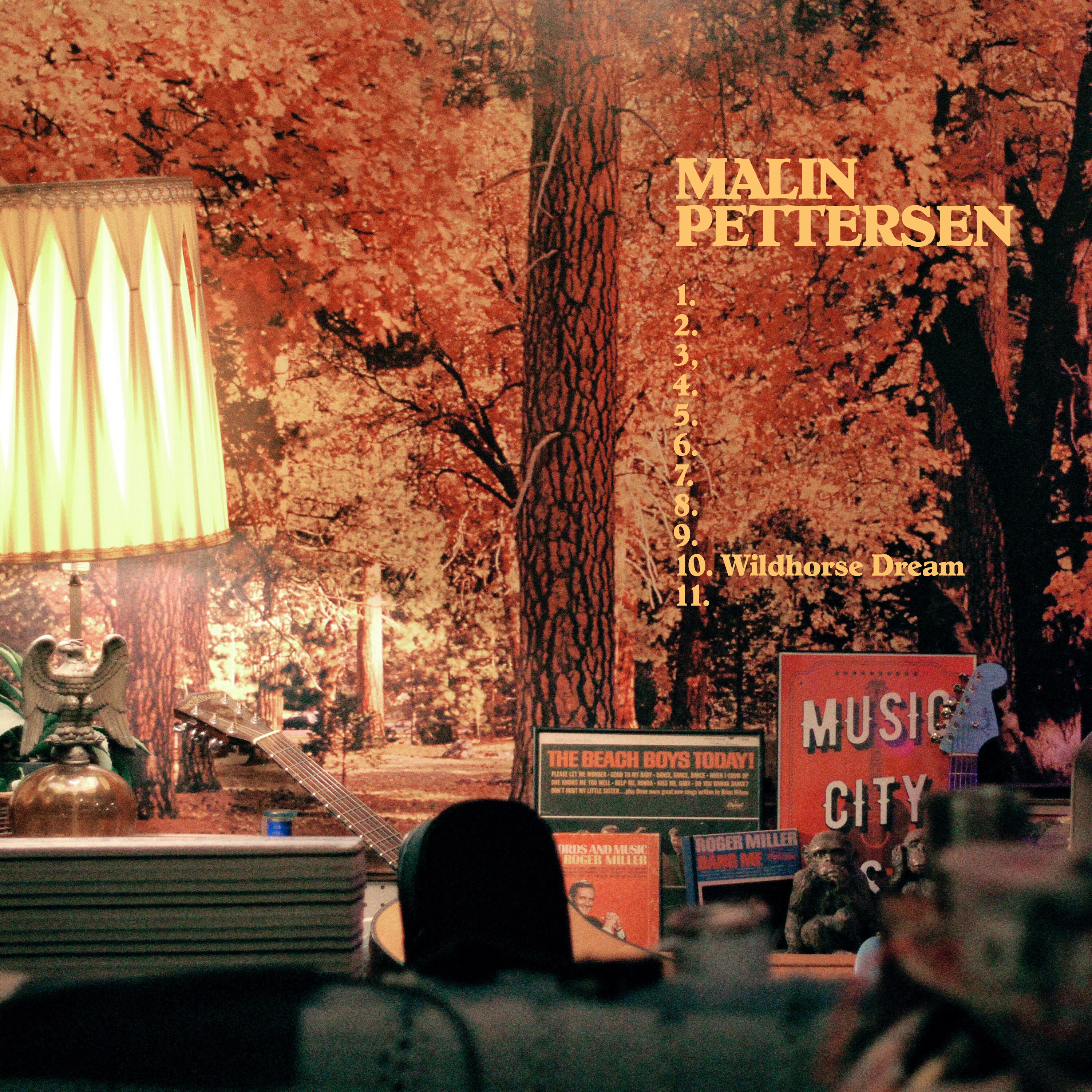 Wildhorse Dream - Single album cover