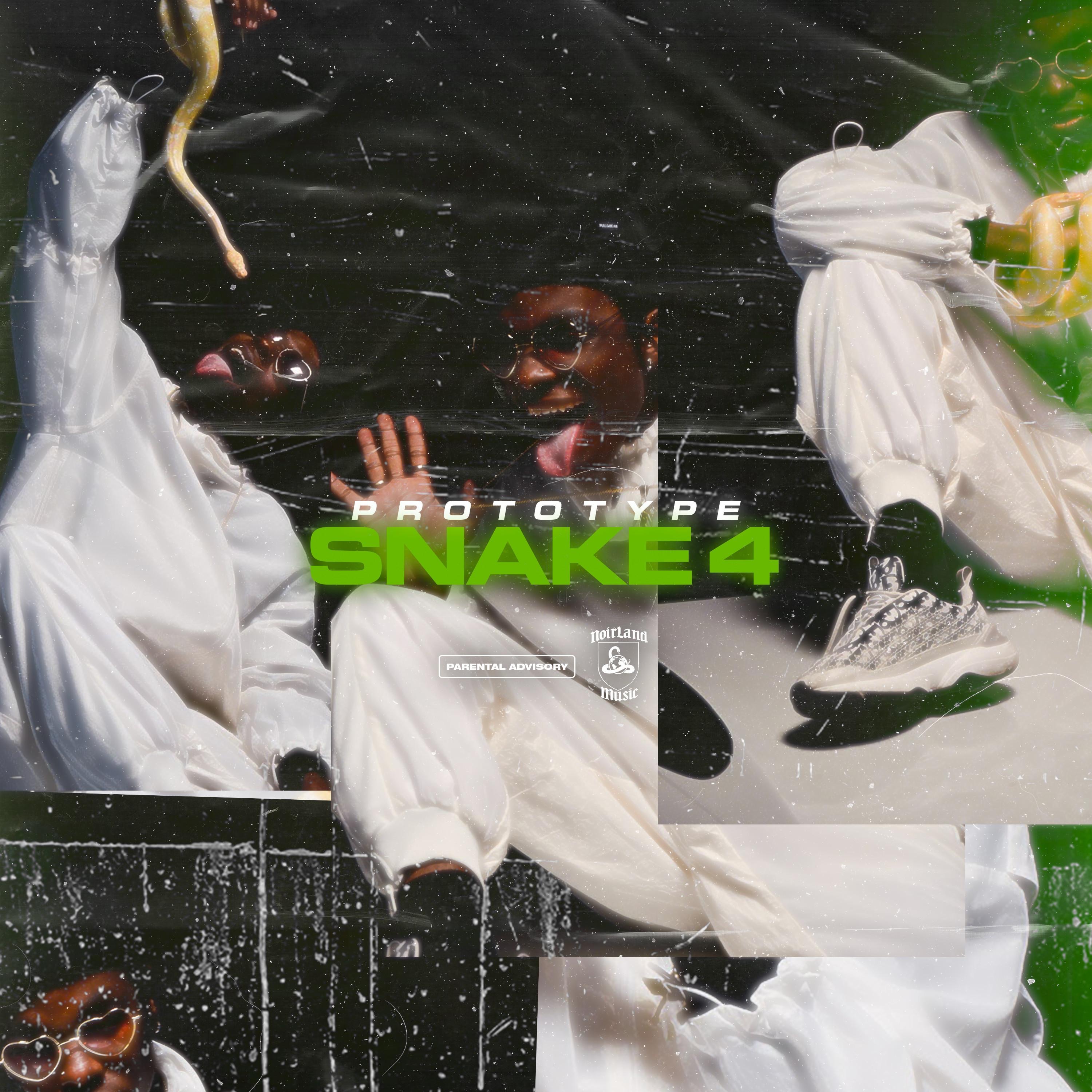 Snake #4 - Single album cover