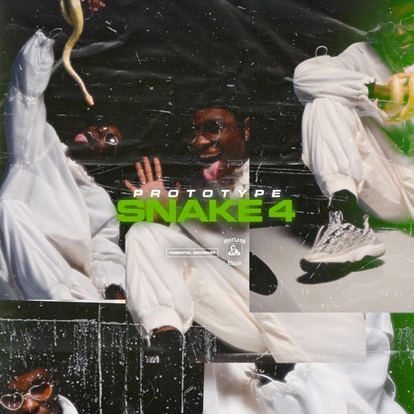 Snake #4 - Single album cover