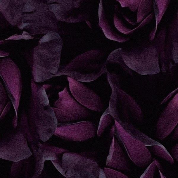 Empty - Single album cover