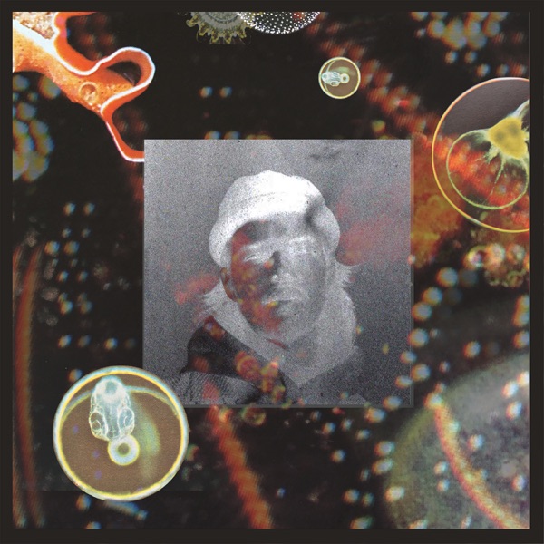 Gravitate (feat. Hemai) - Single album cover