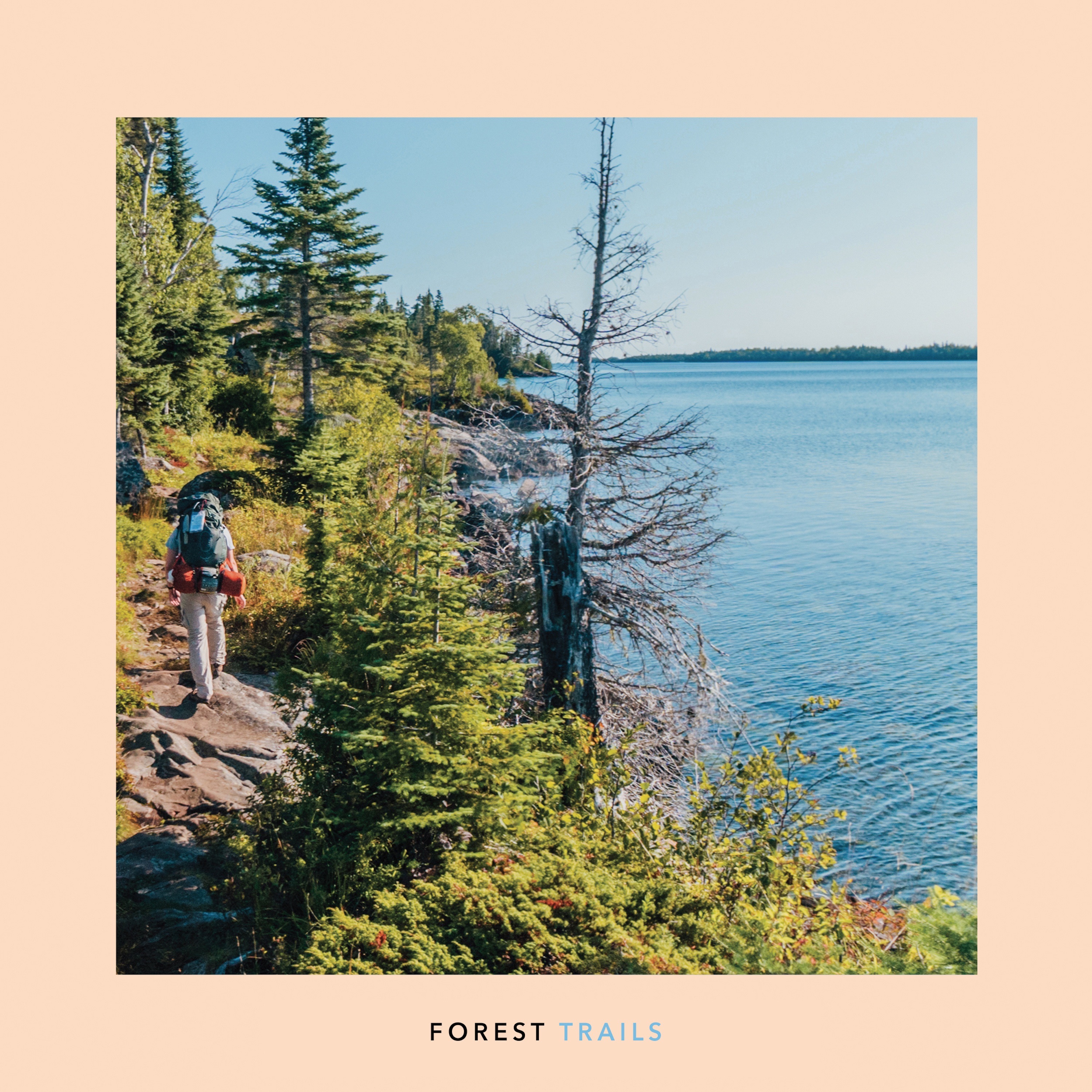 Forest Trails album cover