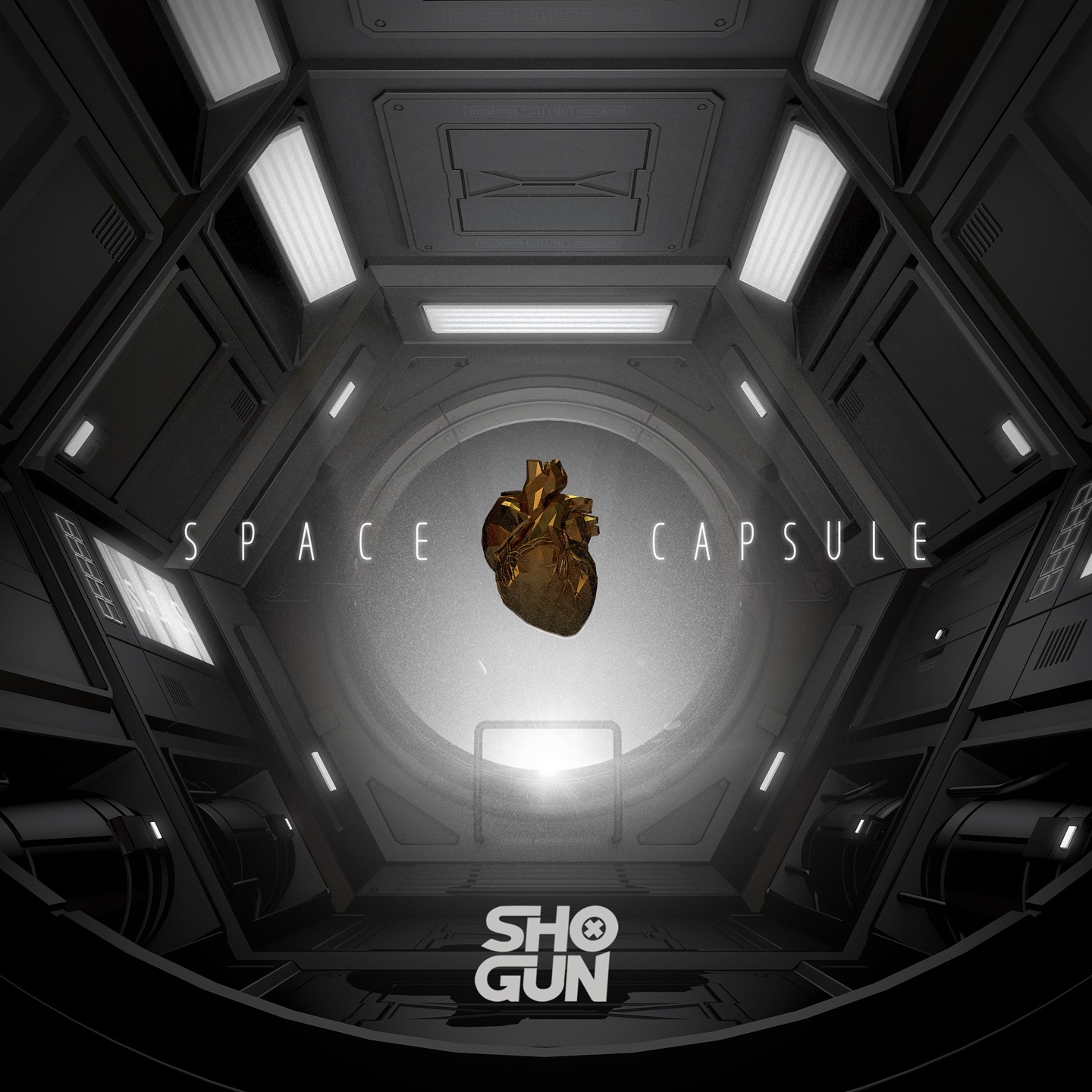 Space Capsule - Single album cover