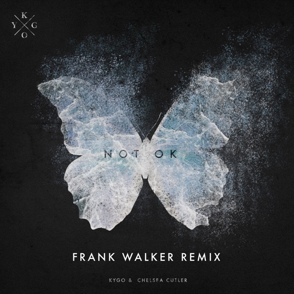 Not Ok (Frank Walker Remix) - Single album cover
