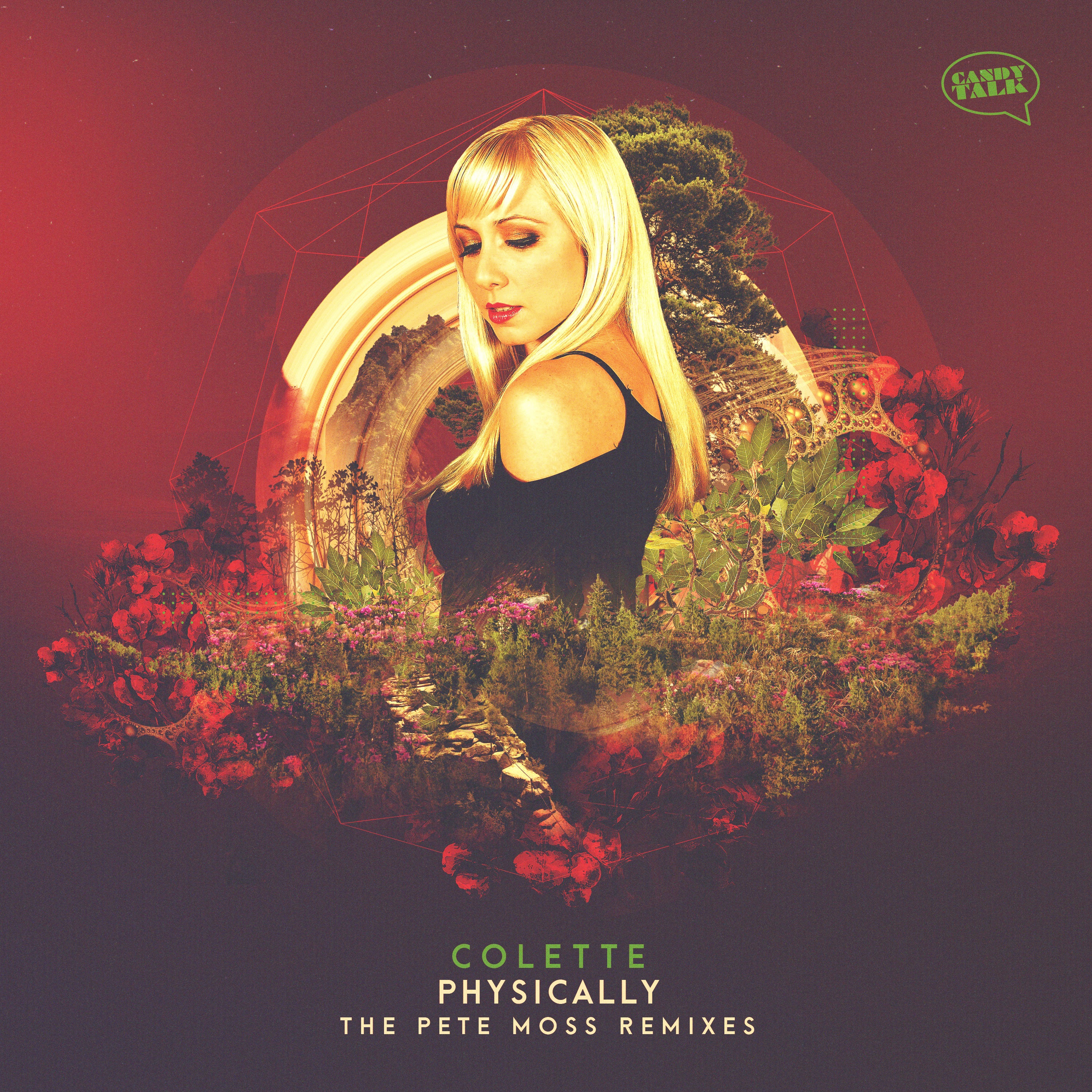 Physically - the Pete Moss Remixes - Single album cover