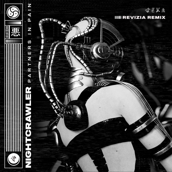 Partners in Pain (Revizia Remix) - Single album cover