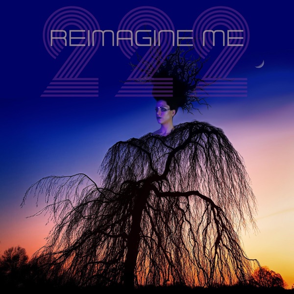 Reimagine Me - Single album cover