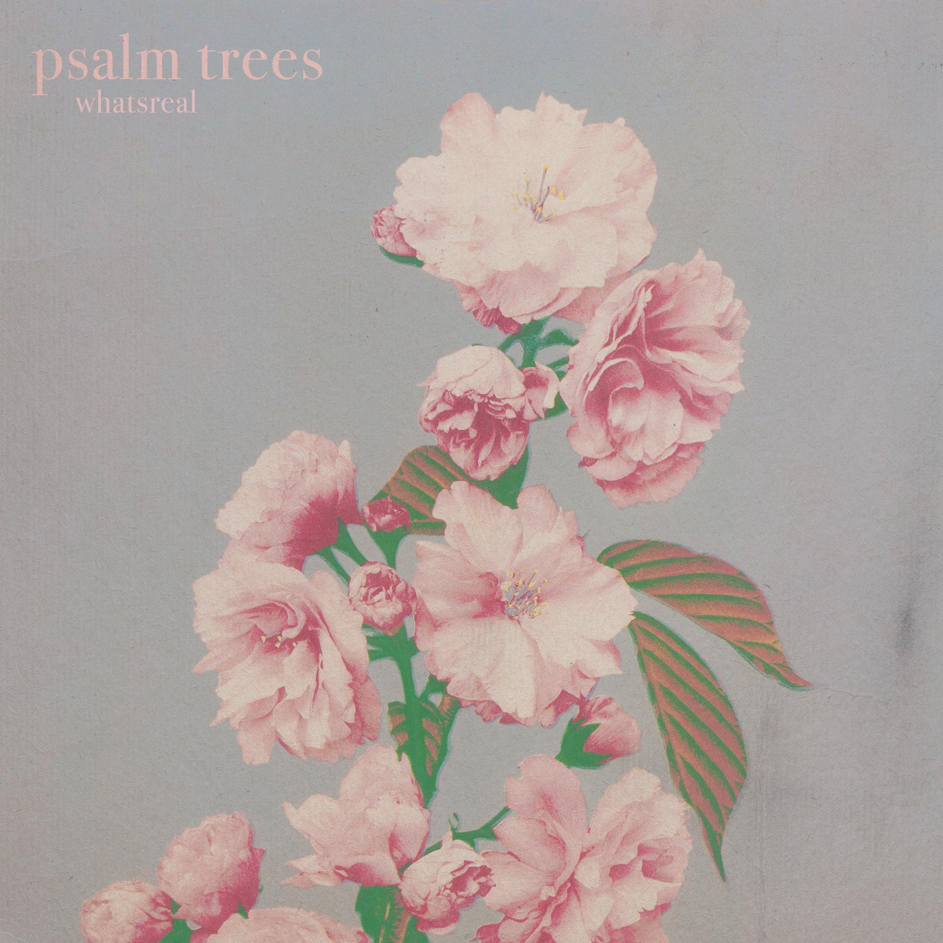 Whatsreal - Single album cover