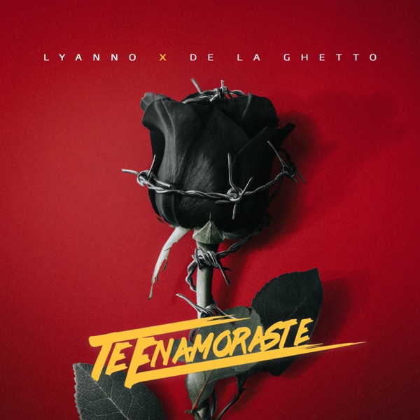Te Enamoraste - Single album cover