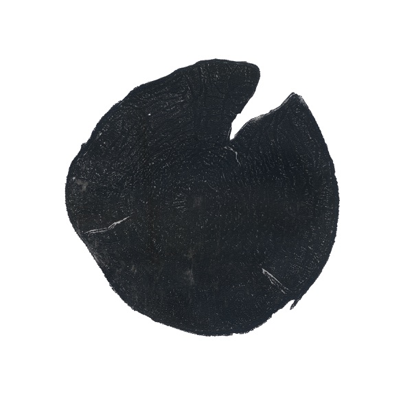 Marcelo Camelo: Sinfonia No 1 - Primitiva (feat. The City of Prague Philharmonic Orchestra) album cover