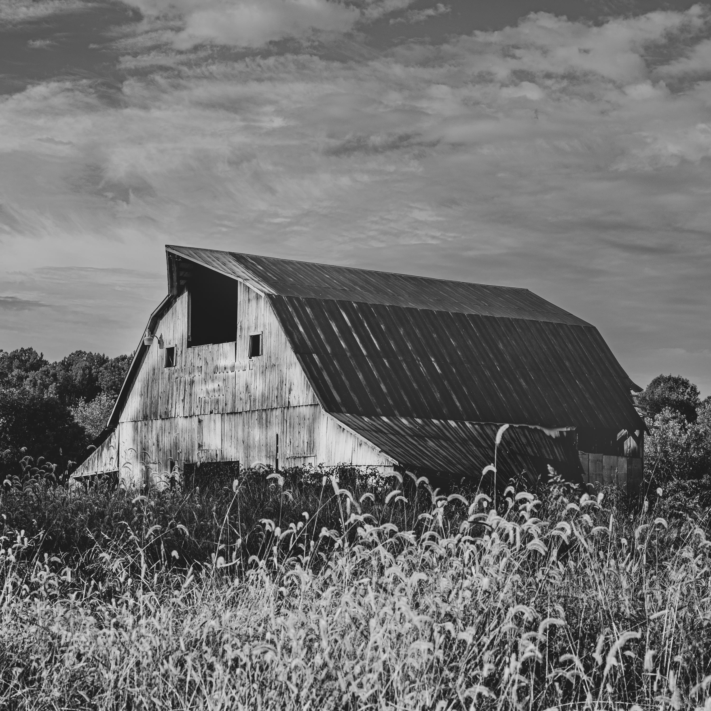 Burnt Prairie, Illinois album cover