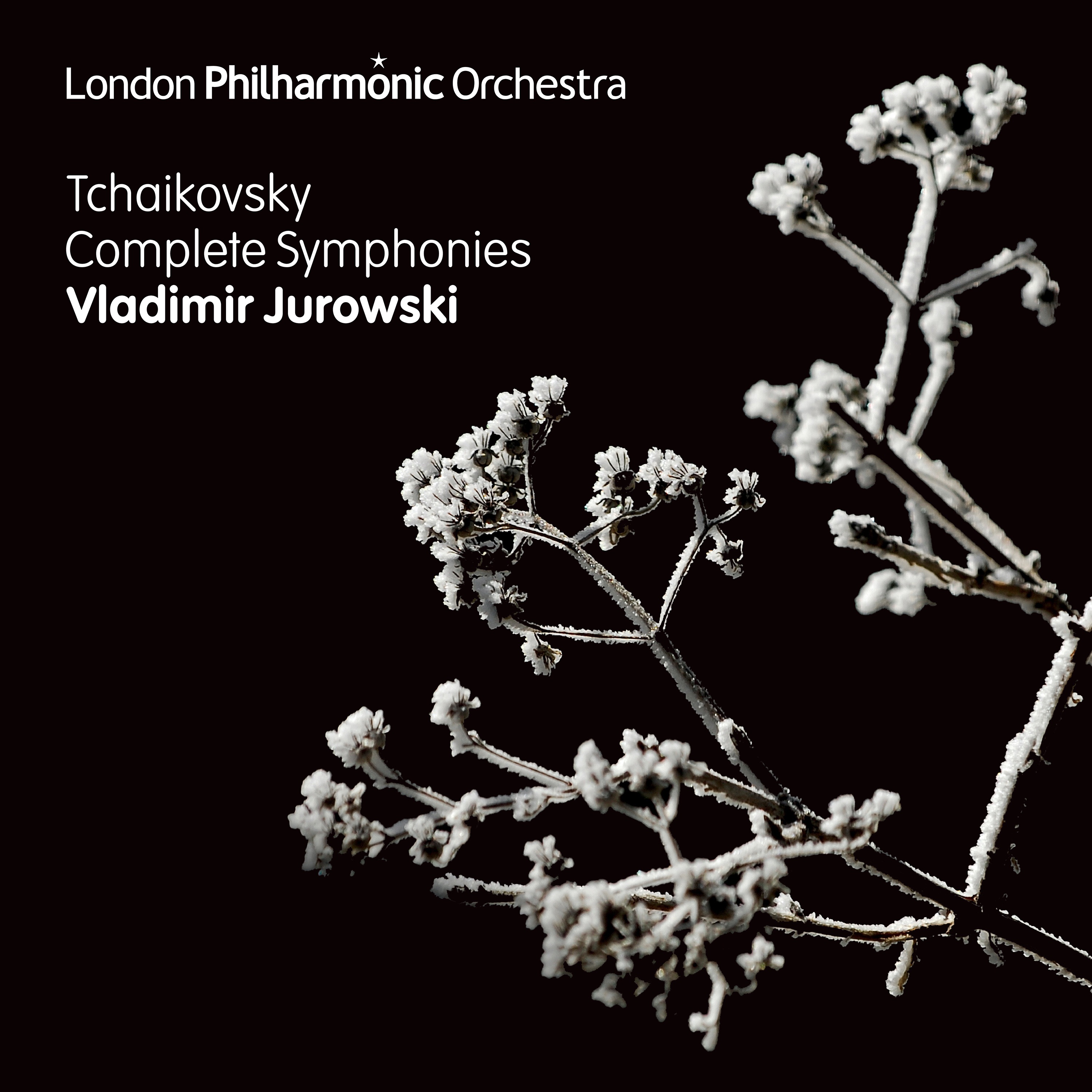 Tchaikovsky: The Complete Symphonies album cover