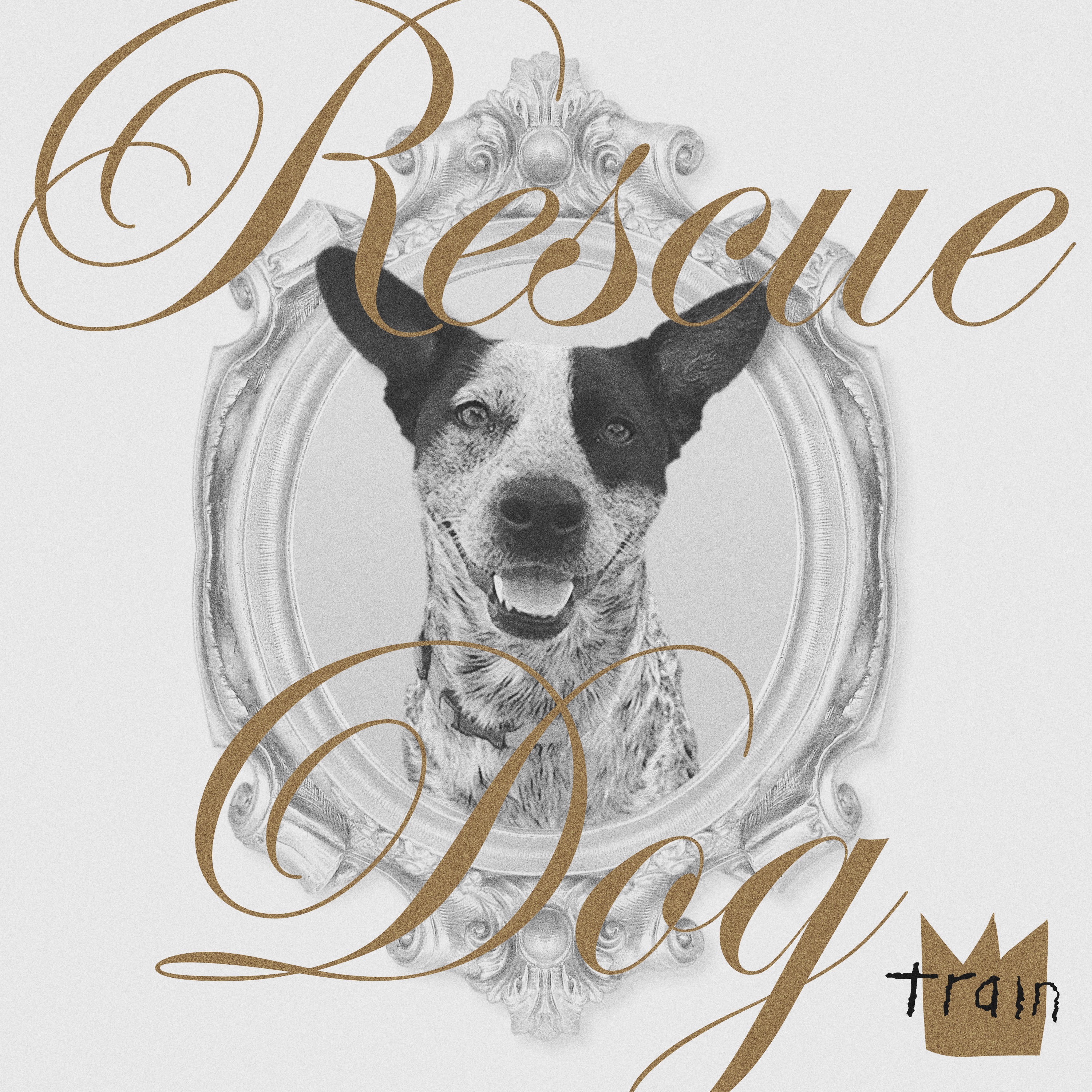 Rescue Dog - Single album cover