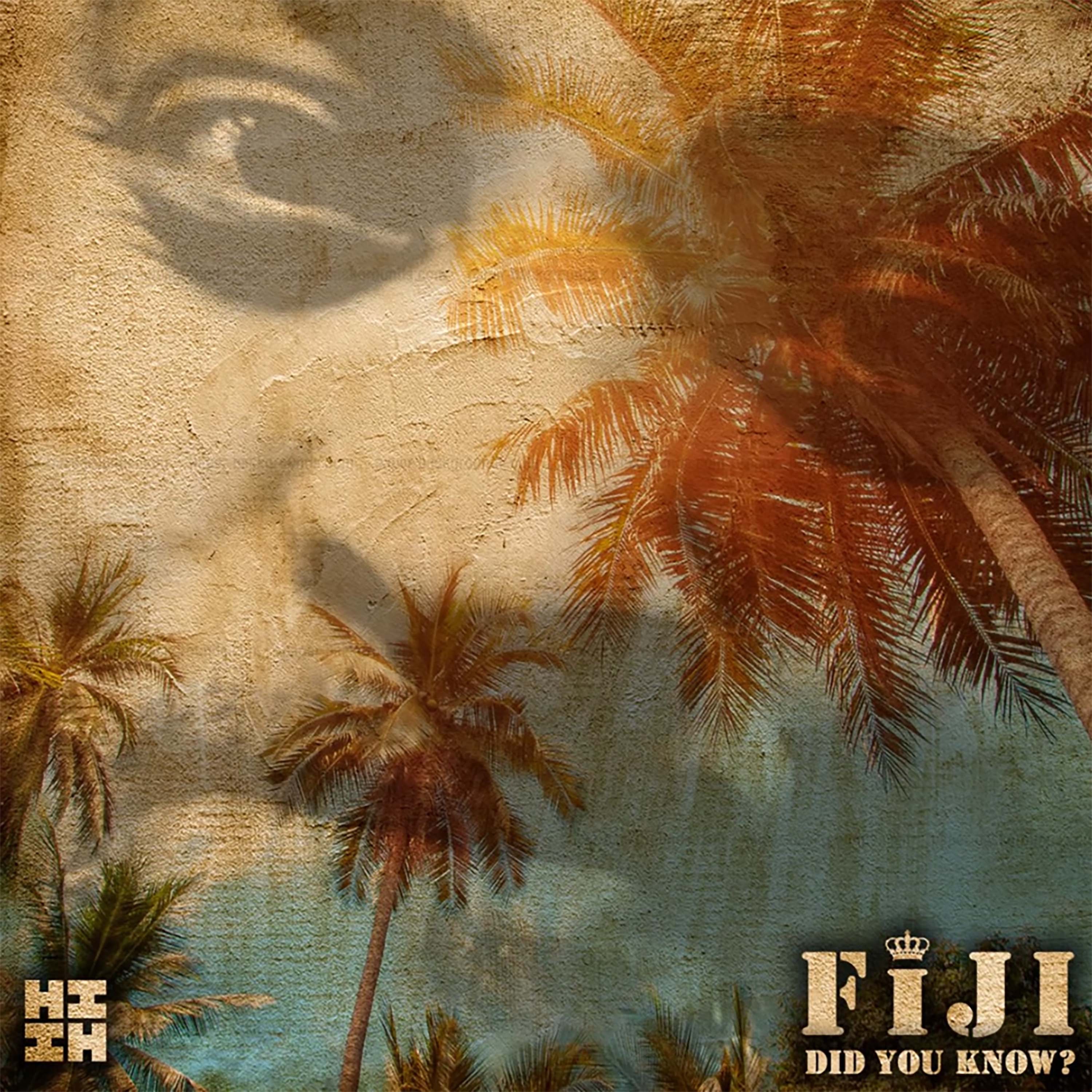 Did You Know? - Single album cover