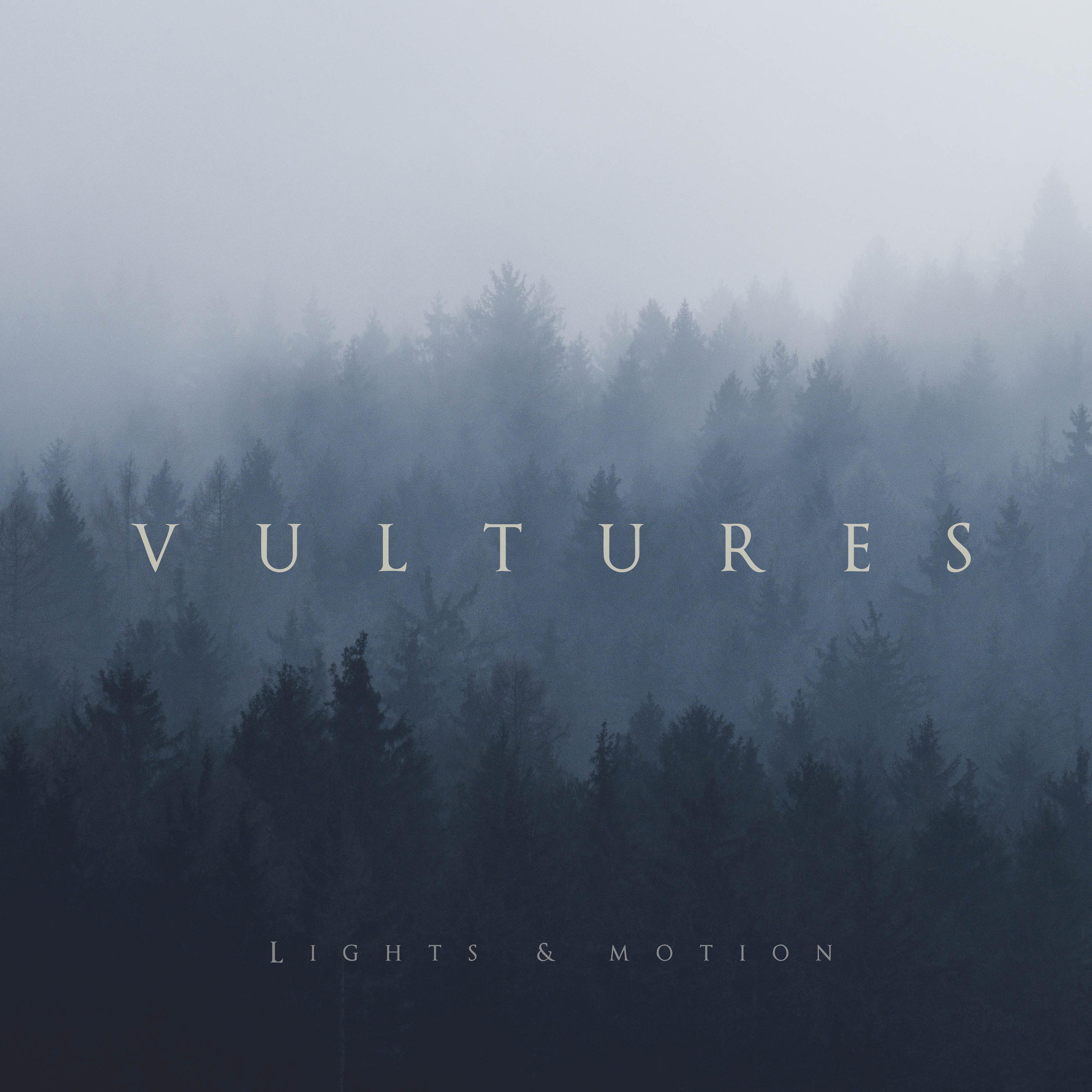 Vultures - Single album cover